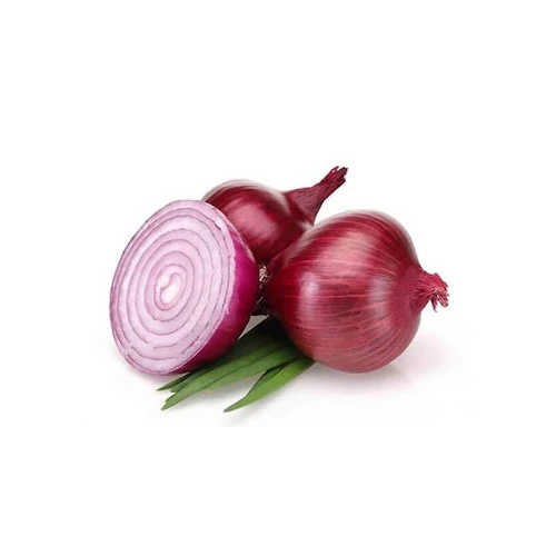 بصل أحمر