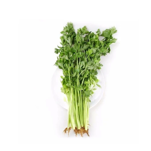 كرفس بلدى