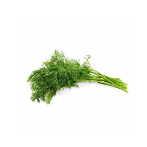 شبت وبقدونس